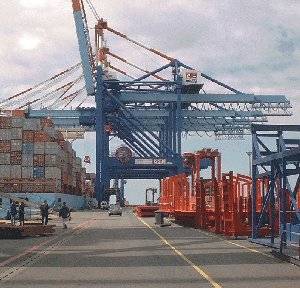 strauch_01_05_010.jpg strauch_01_05_010.jpg